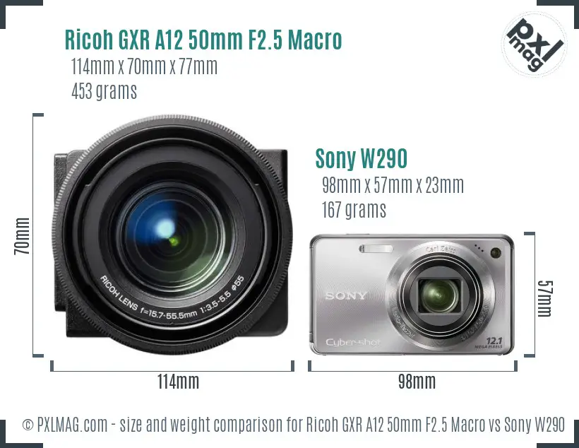 Ricoh GXR A12 50mm F2.5 Macro vs Sony W290 size comparison