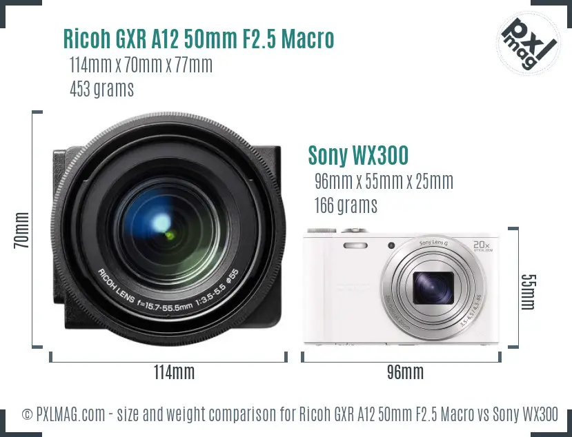 Ricoh GXR A12 50mm F2.5 Macro vs Sony WX300 size comparison
