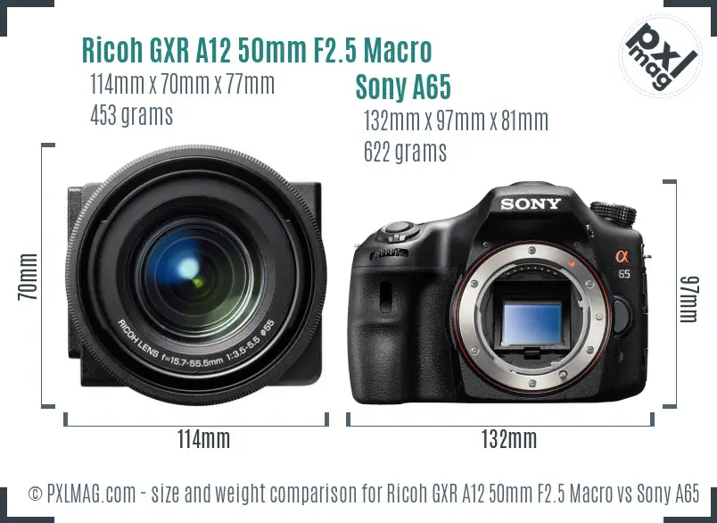 Ricoh GXR A12 50mm F2.5 Macro vs Sony A65 size comparison