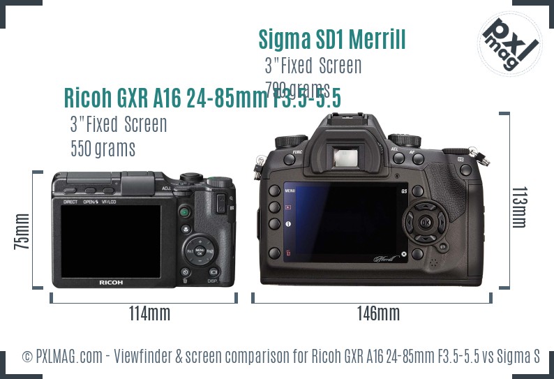 Ricoh GXR A16 24-85mm F3.5-5.5 vs Sigma SD1 Merrill Screen and Viewfinder comparison