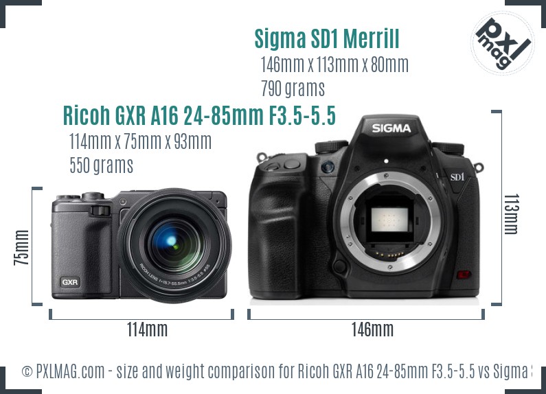 Ricoh GXR A16 24-85mm F3.5-5.5 vs Sigma SD1 Merrill size comparison