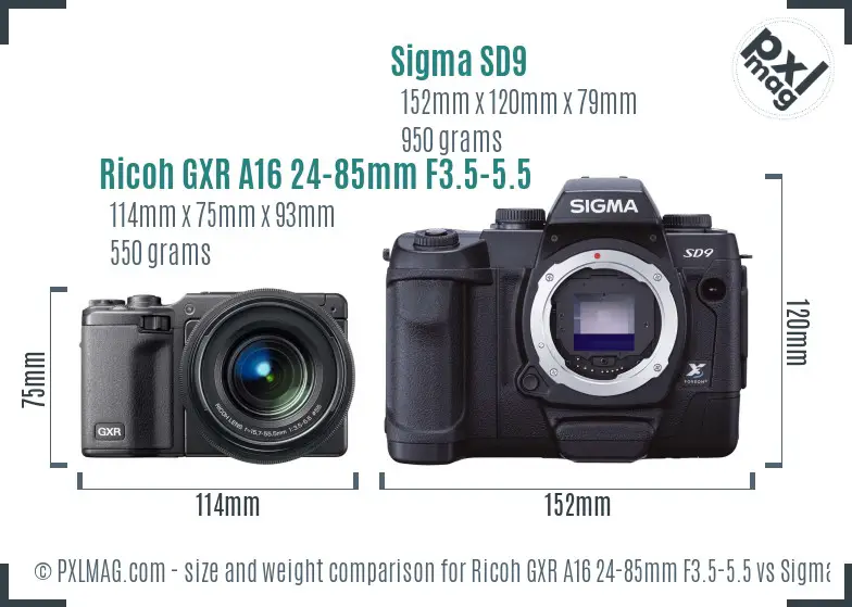 Ricoh GXR A16 24-85mm F3.5-5.5 vs Sigma SD9 size comparison