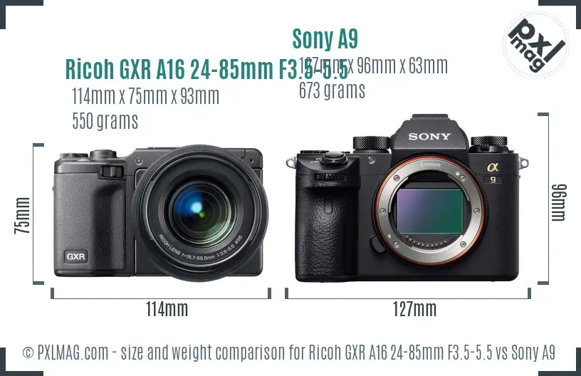 Ricoh GXR A16 24-85mm F3.5-5.5 vs Sony A9 size comparison