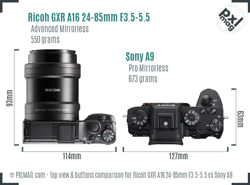 Ricoh GXR A16 24-85mm F3.5-5.5 vs Sony A9 top view buttons comparison