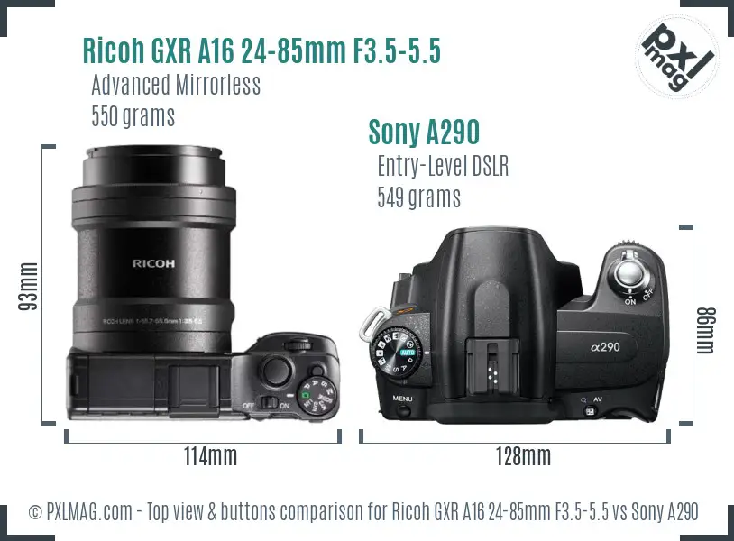 Ricoh GXR A16 24-85mm F3.5-5.5 vs Sony A290 top view buttons comparison Ricoh GXR A16 24-85mm F3.5-5.5 vs Sony A290 top view buttons comparison
