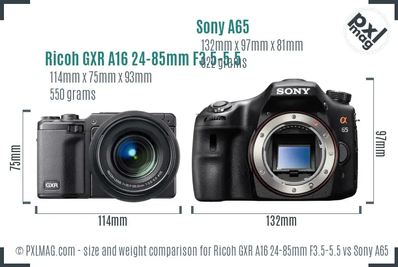 Ricoh GXR A16 24-85mm F3.5-5.5 vs Sony A65 size comparison