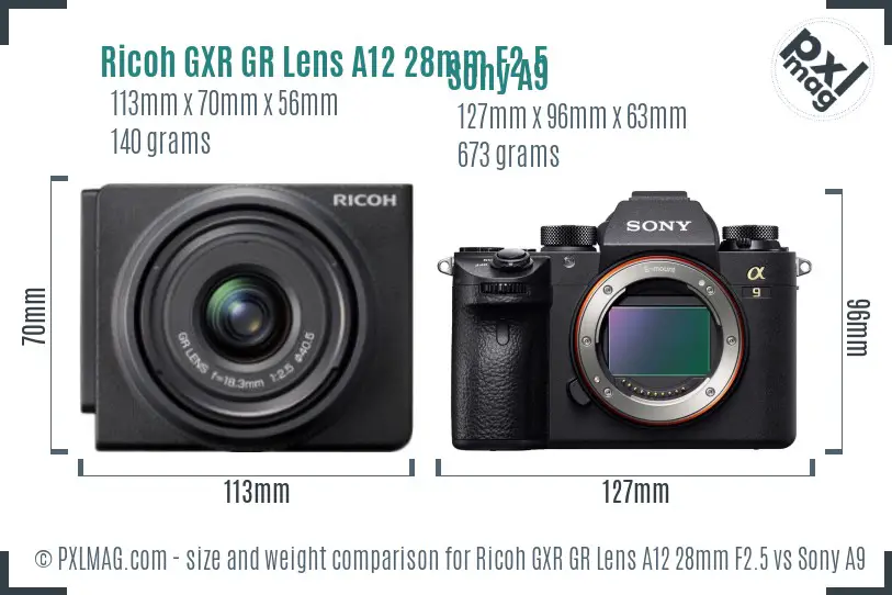 Ricoh GXR GR Lens A12 28mm F2.5 vs Sony A9 size comparison