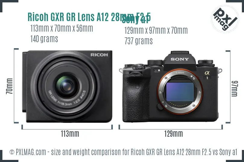 Ricoh GXR GR Lens A12 28mm F2.5 vs Sony a1 size comparison