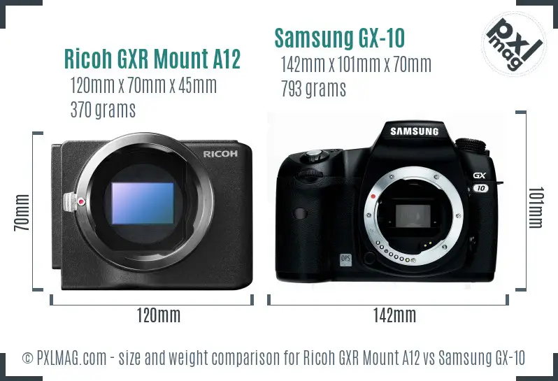 Ricoh GXR Mount A12 vs Samsung GX-10 size comparison