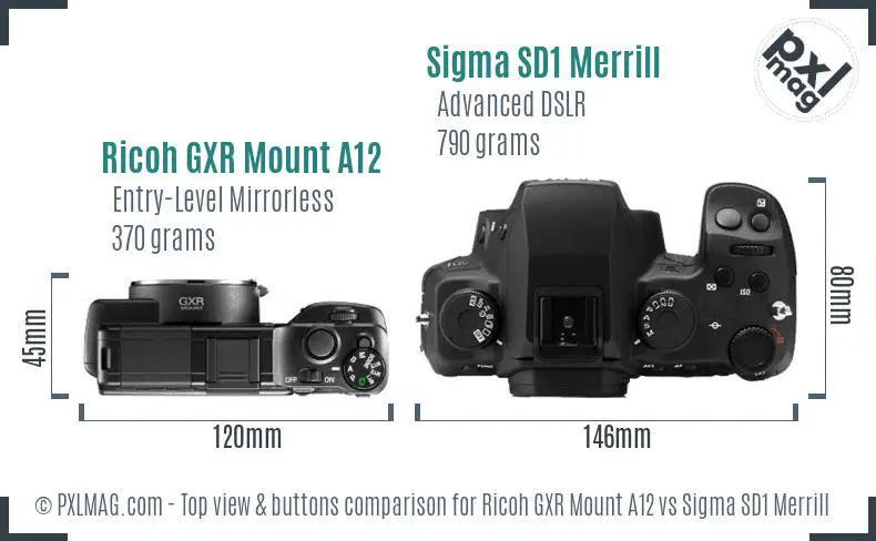 Ricoh GXR Mount A12 vs Sigma SD1 Merrill top view buttons comparison