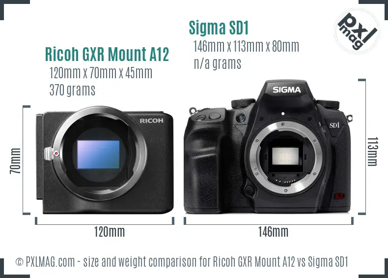 Ricoh GXR Mount A12 vs Sigma SD1 size comparison