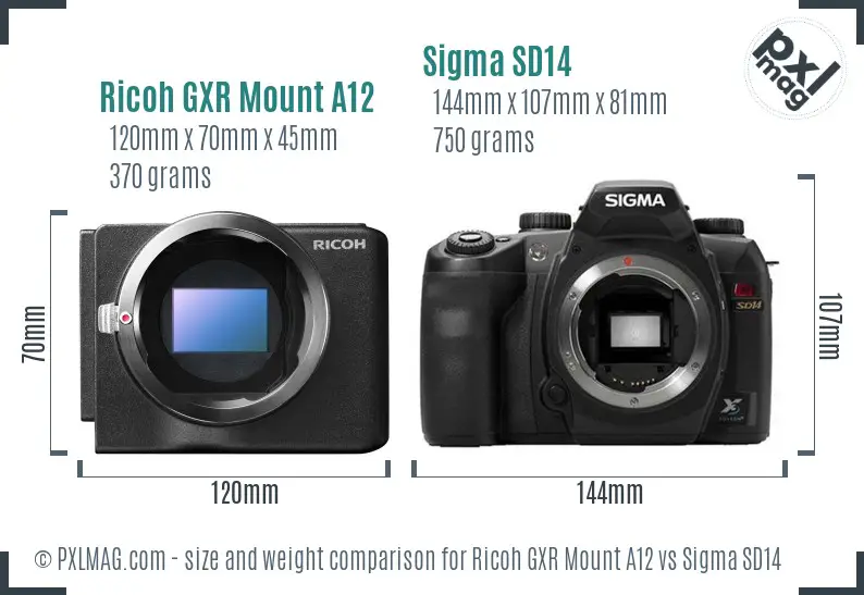Ricoh GXR Mount A12 vs Sigma SD14 size comparison