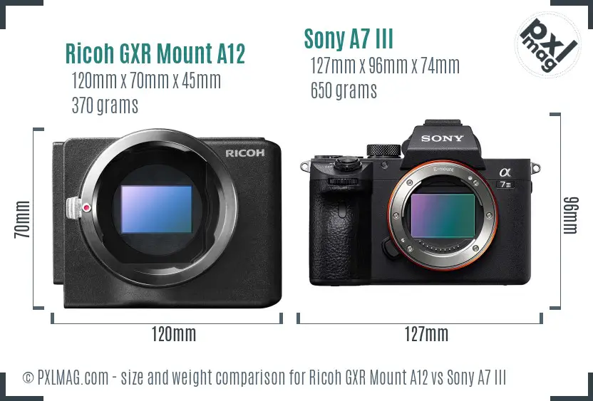 Ricoh GXR Mount A12 vs Sony A7 III size comparison