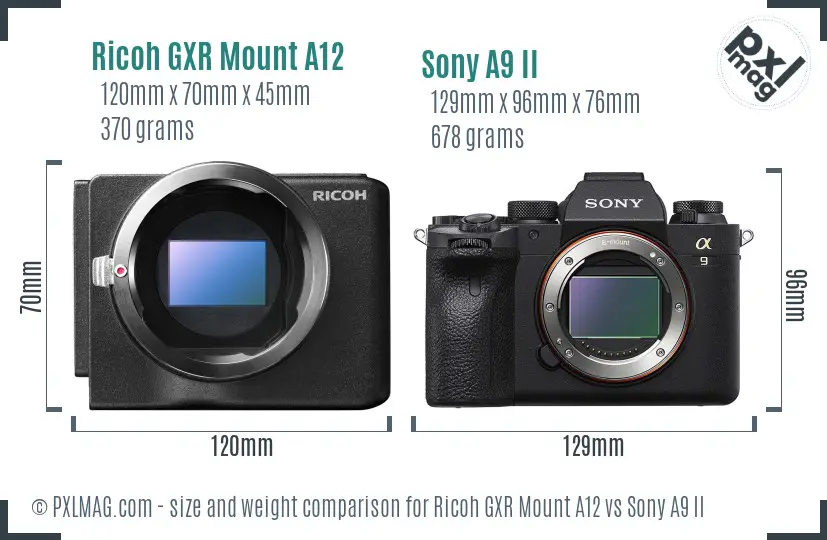 Ricoh GXR Mount A12 vs Sony A9 II size comparison