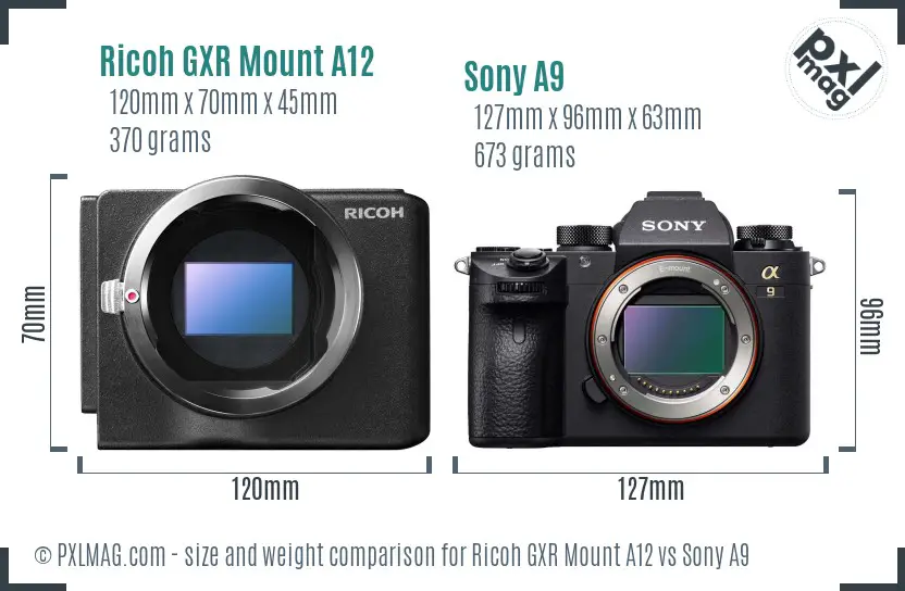 Ricoh GXR Mount A12 vs Sony A9 size comparison