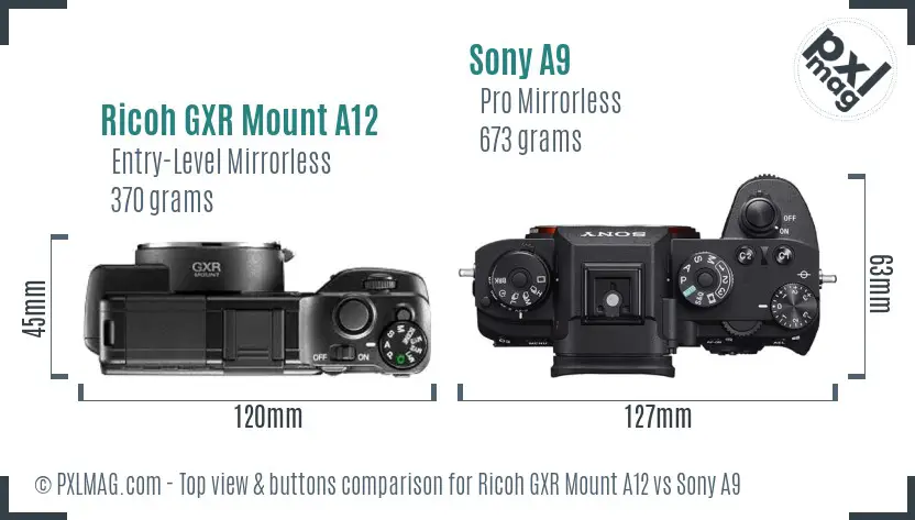 Ricoh GXR Mount A12 vs Sony A9 top view buttons comparison