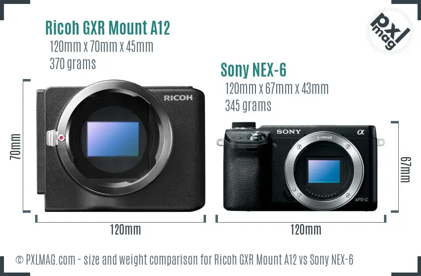 Ricoh GXR Mount A12 vs Sony NEX-6 size comparison