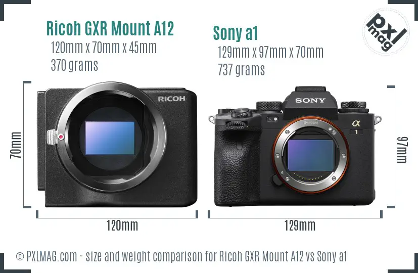 Ricoh GXR Mount A12 vs Sony a1 size comparison