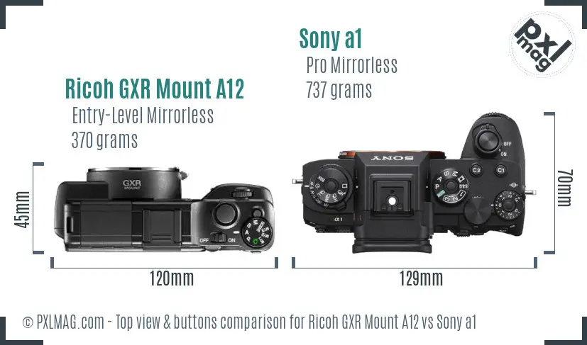 Ricoh GXR Mount A12 vs Sony a1 top view buttons comparison