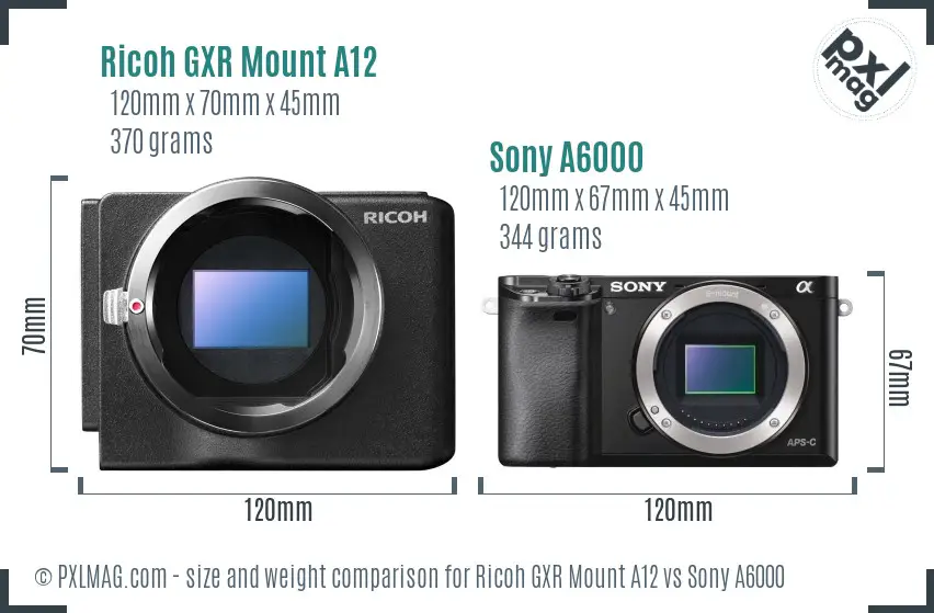 Ricoh GXR Mount A12 vs Sony A6000 size comparison