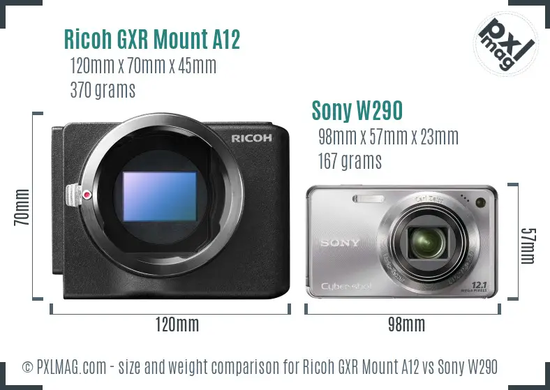 Ricoh GXR Mount A12 vs Sony W290 size comparison