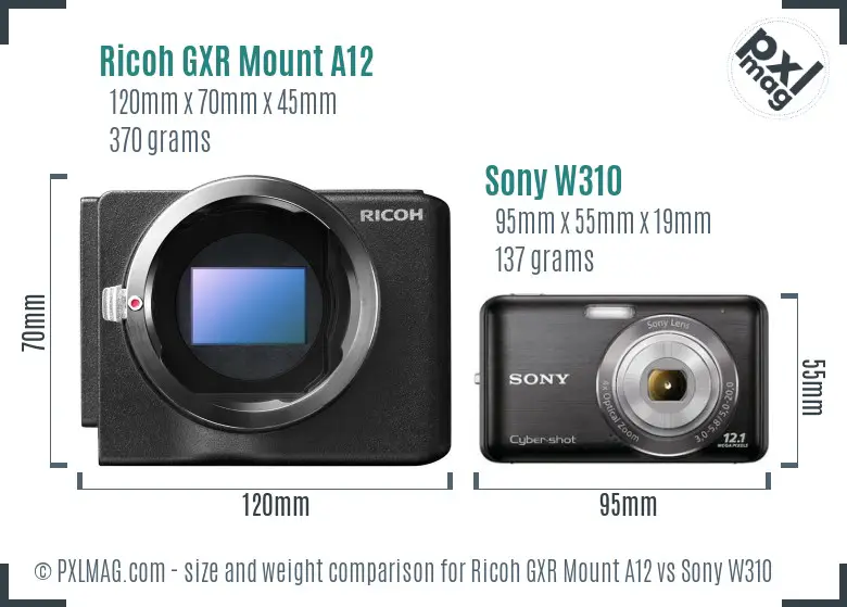 Ricoh GXR Mount A12 vs Sony W310 size comparison