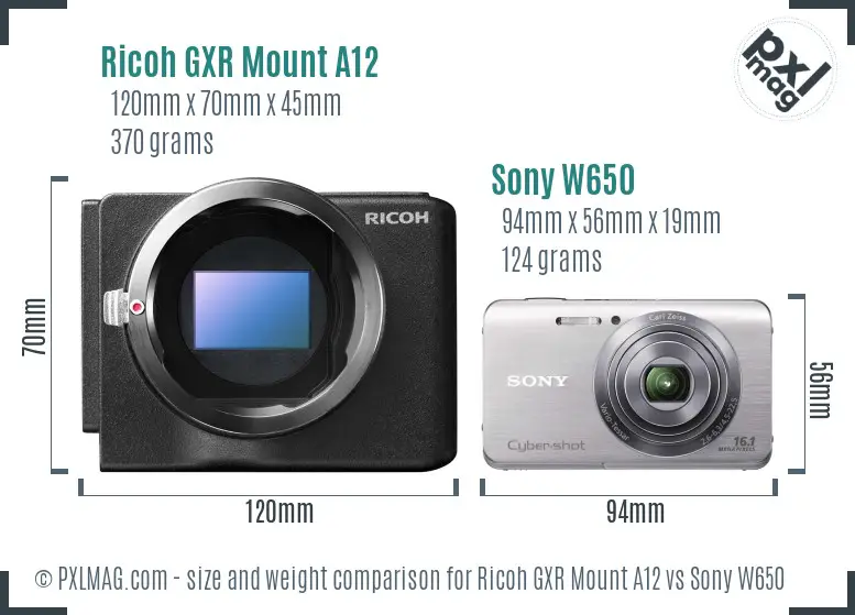 Ricoh GXR Mount A12 vs Sony W650 size comparison