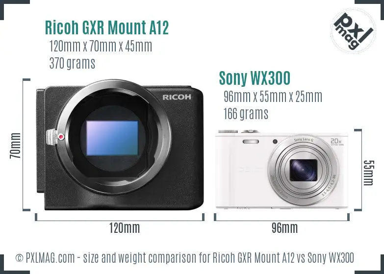 Ricoh GXR Mount A12 vs Sony WX300 size comparison