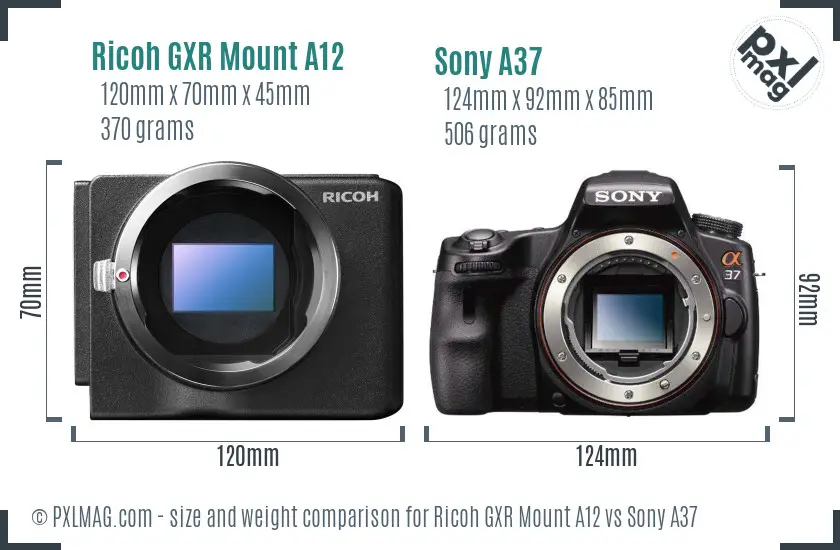 Ricoh GXR Mount A12 vs Sony A37 size comparison