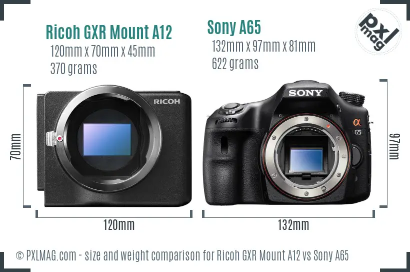 Ricoh GXR Mount A12 vs Sony A65 size comparison