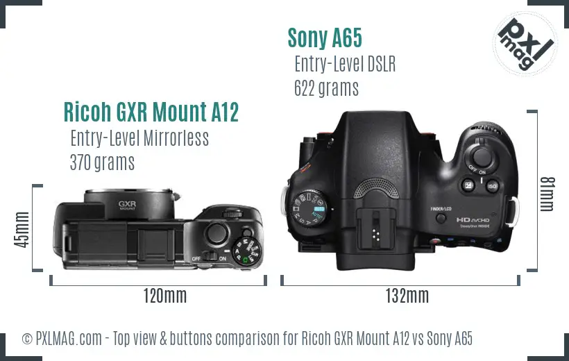 Ricoh GXR Mount A12 vs Sony A65 top view buttons comparison