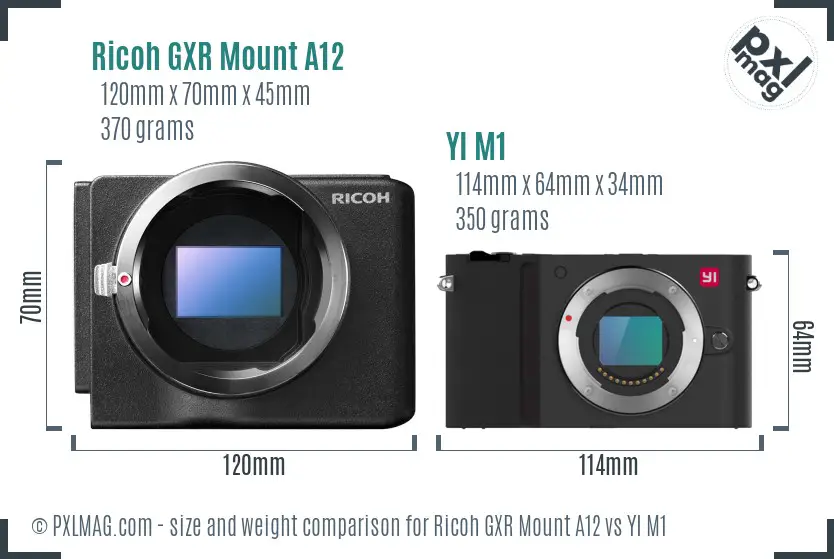 Ricoh GXR Mount A12 vs YI M1 size comparison