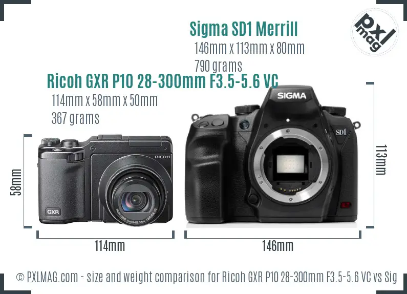 Ricoh GXR P10 28-300mm F3.5-5.6 VC vs Sigma SD1 Merrill size comparison