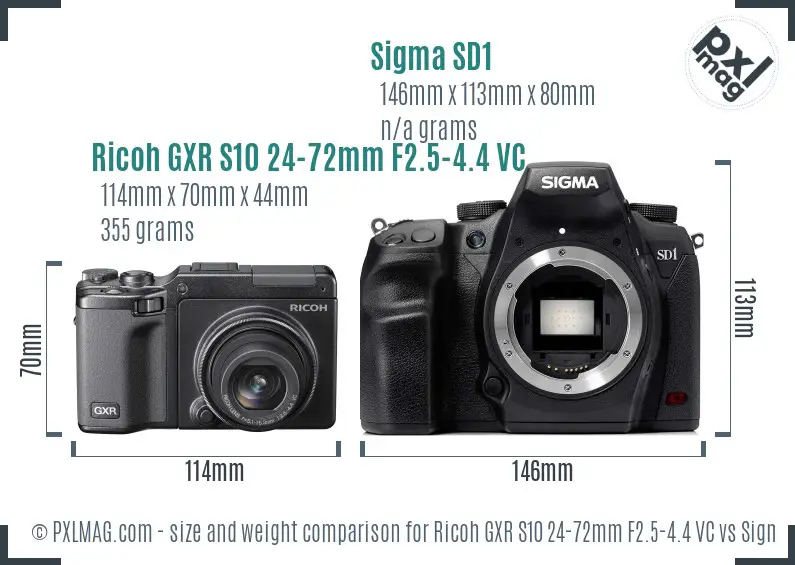 Ricoh GXR S10 24-72mm F2.5-4.4 VC vs Sigma SD1 size comparison