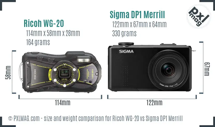 Ricoh WG-20 vs Sigma DP1 Merrill size comparison