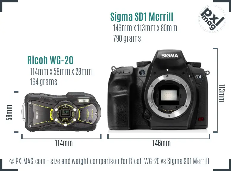 Ricoh WG-20 vs Sigma SD1 Merrill size comparison