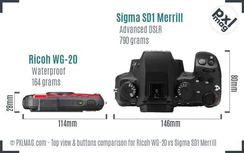 Ricoh WG-20 vs Sigma SD1 Merrill top view buttons comparison