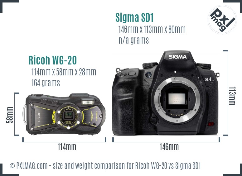 Ricoh WG-20 vs Sigma SD1 size comparison