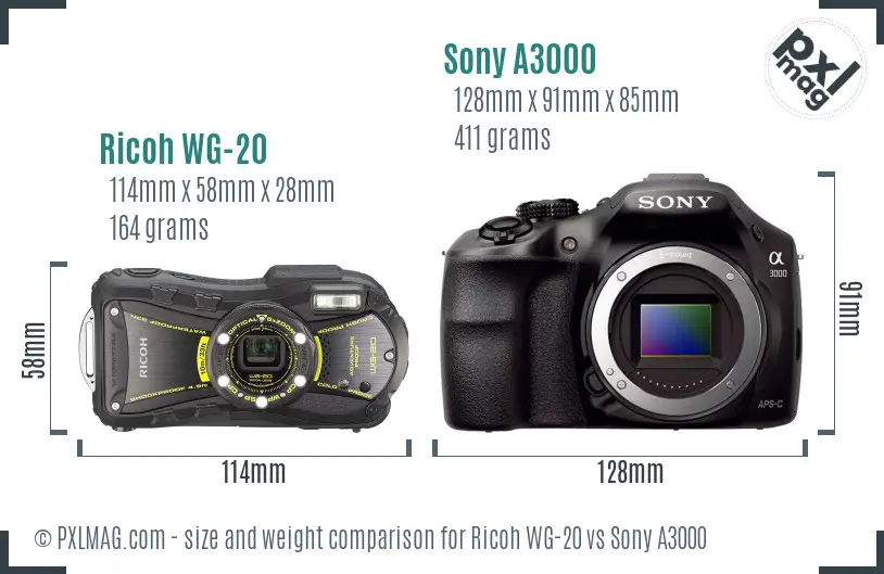 Ricoh WG-20 vs Sony A3000 size comparison