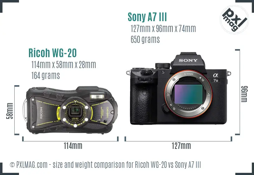 Ricoh WG-20 vs Sony A7 III size comparison