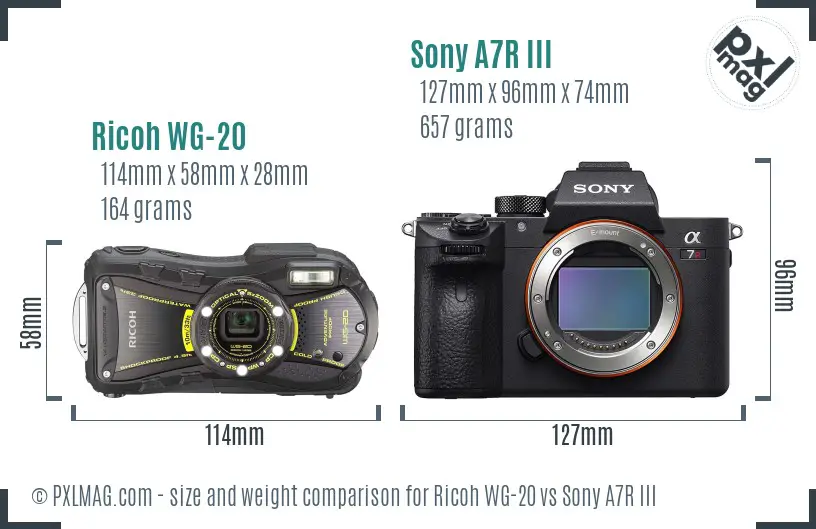 Ricoh WG-20 vs Sony A7R III size comparison