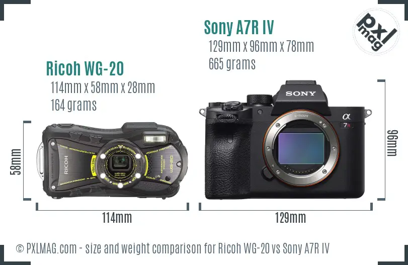 Ricoh WG-20 vs Sony A7R IV size comparison
