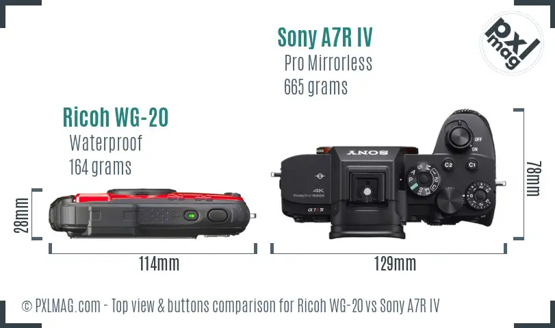 Ricoh WG-20 vs Sony A7R IV top view buttons comparison