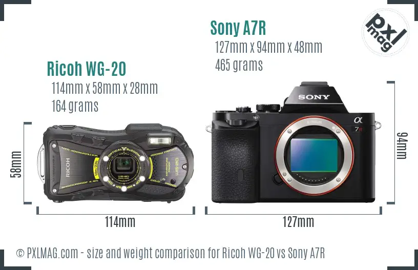 Ricoh WG-20 vs Sony A7R size comparison