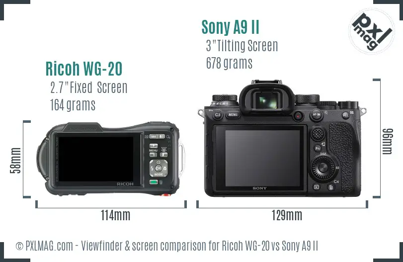 Ricoh WG-20 vs Sony A9 II Screen and Viewfinder comparison