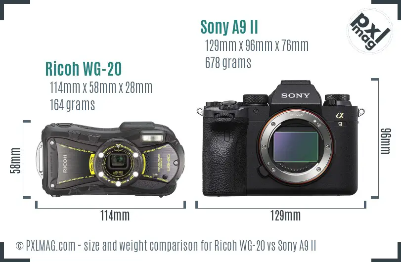 Ricoh WG-20 vs Sony A9 II size comparison