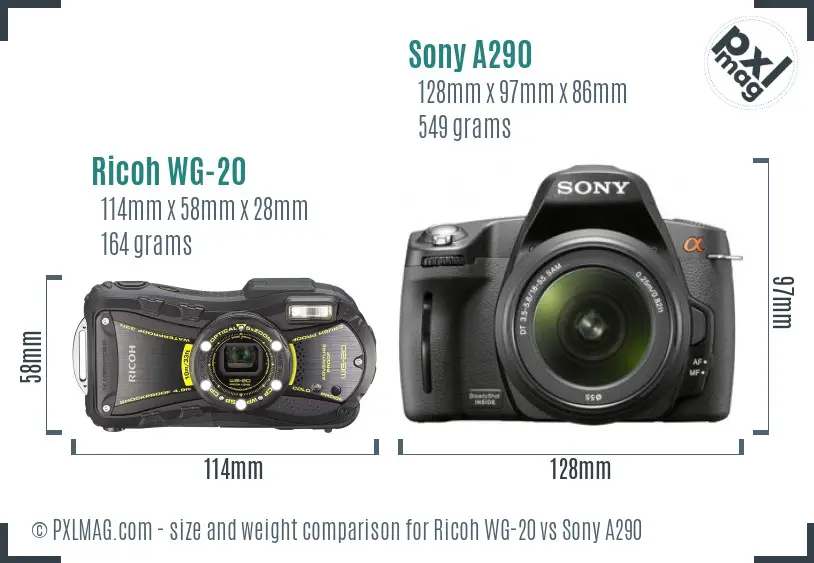 Ricoh WG-20 vs Sony A290 size comparison
