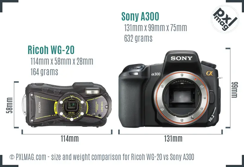 Ricoh WG-20 vs Sony A300 size comparison