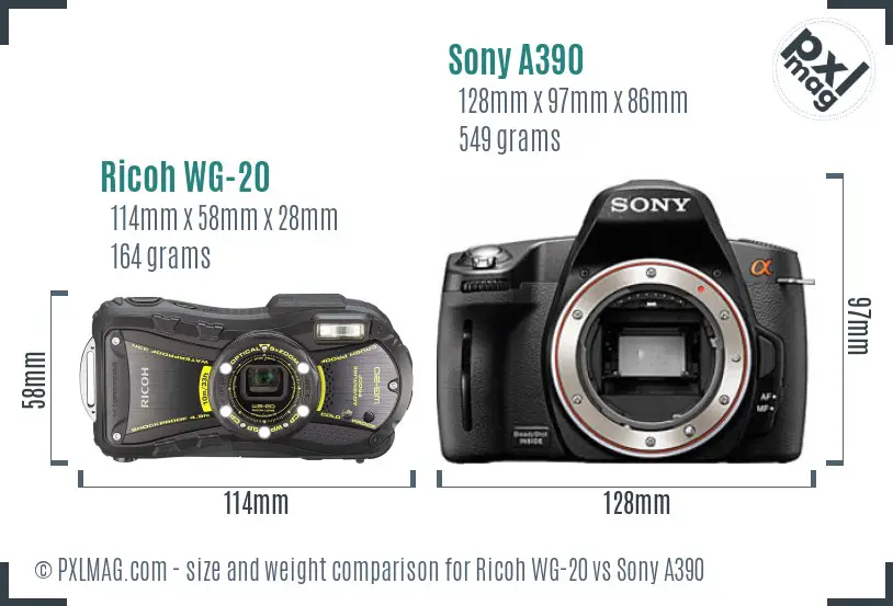 Ricoh WG-20 vs Sony A390 size comparison