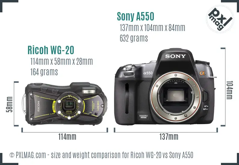 Ricoh WG-20 vs Sony A550 size comparison